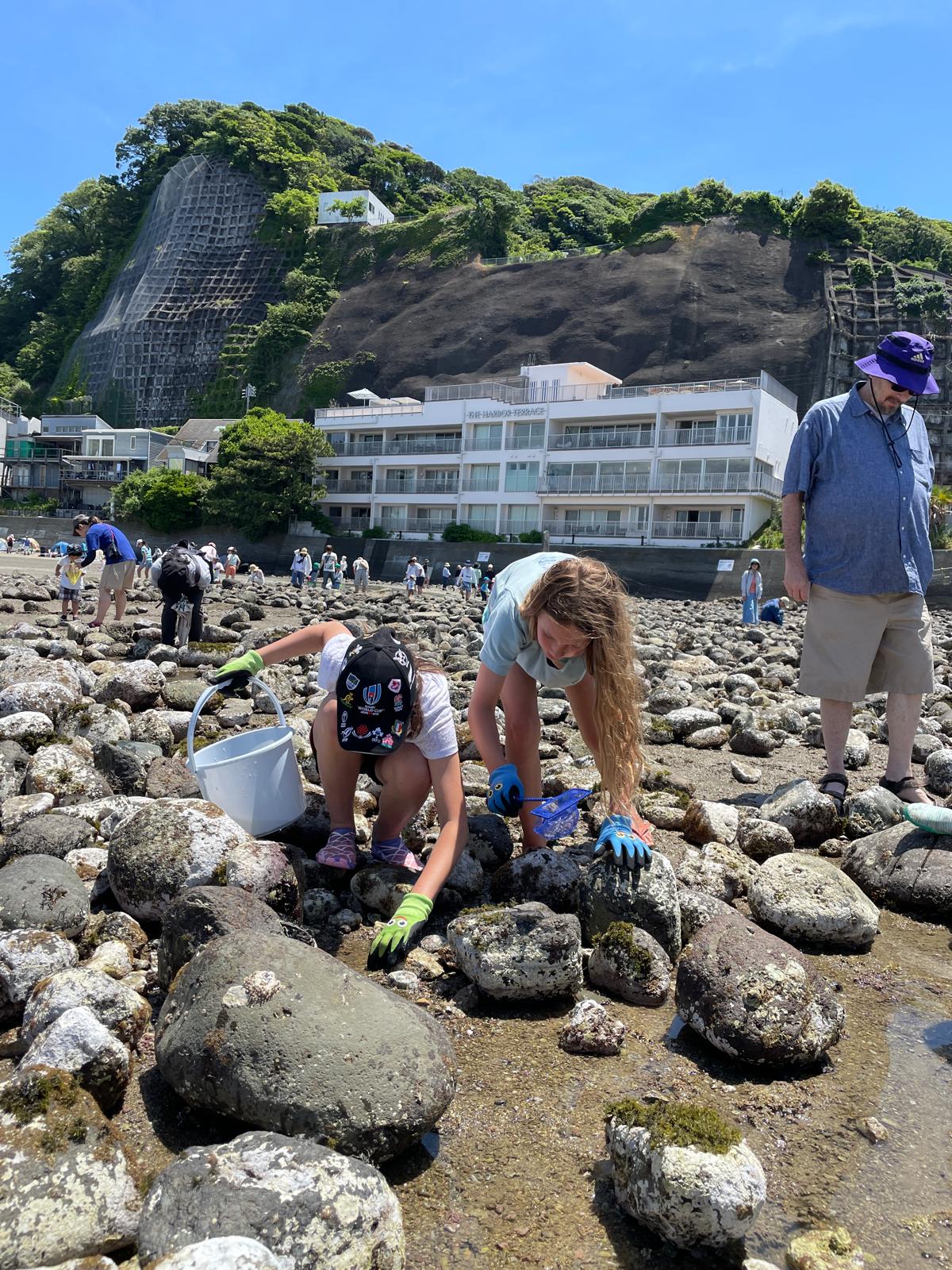 6月8日の世界海洋デー🐳資生堂グループやR&Sのメンバーと材木座海岸の和賀江島にて磯の観察会を行いました